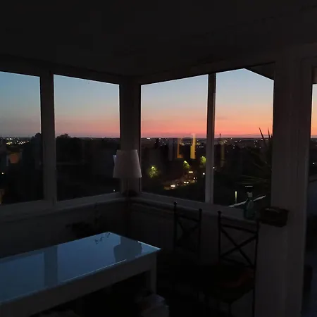 Sunset Aurelia *