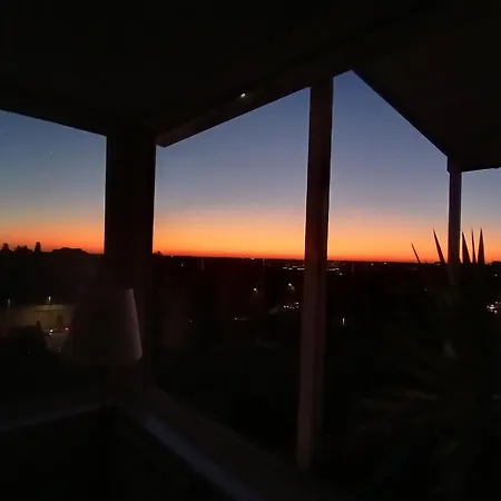 Sunset Aurelia